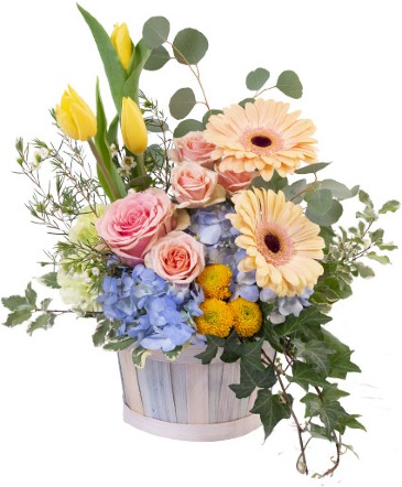 Designer's Choice - Seasonal Spring/Summer Basket Arrangement in Beloit, KS | Given Grace Floral & Decor Designer's Choice - Seasonal Spring/Summer Basket Arrangement in Beloit, KS | Given Grace Floral & Decor