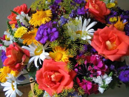 Designer's Choice - Select Weekly Featured Flowers