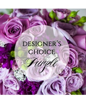 Designers Choice Shades of Purple Shades of Purple