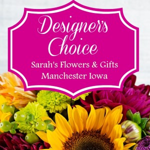 Designer's Choice - Small