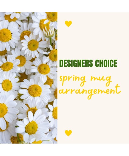 Designers Choice  Spring Mug Arrangement 