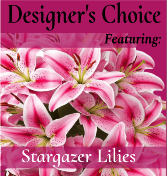 Designer's Choice-Stargazer Lilies Vase Arrangement