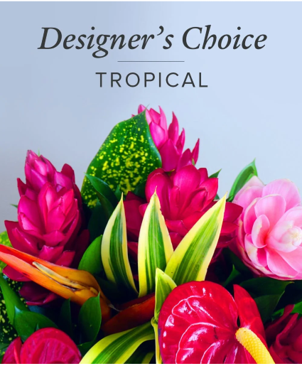 Designers Choice Tropical  