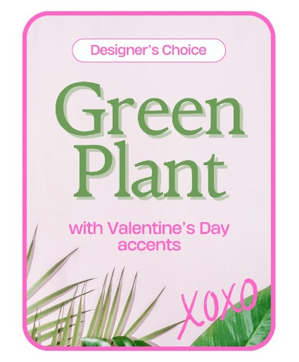 Designer's Choice Valentine's Day Green Plant Flower Arrangement