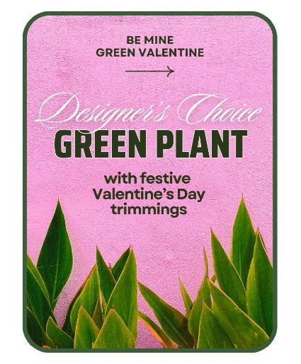 Designer's Choice Valentine's Day Green Plant Flower Arrangement