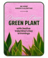 Designer's Choice Valentine's Day Green Plant Plant