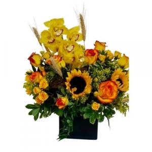 Designer's Choice Vase arrangement. in Coral Springs, FL | Hearts & Flowers of Coral Springs Designer's Choice Vase arrangement. in Coral Springs, FL | Hearts & Flowers of Coral Springs