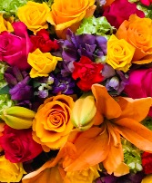 Designers choice-vibrant hues  Design by color palette