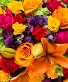 Designers choice-vibrant hues  Design by color palette