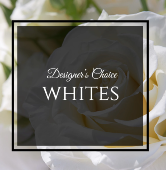 Designer's Choice Whites  Flower