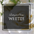 Designer's Choice Whites  Flower