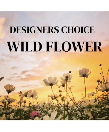 Designers Choice Wild Flower Arrangement  in Bangor, ME | Bangor Floral