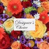 Colorful Designer's Choice  