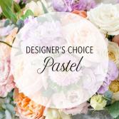 Pastel Designer's Choice  