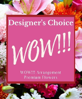 Designer's Choice - WOW! 