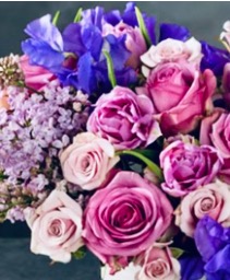Designes choice- pink & lavender  Design by color pallet 