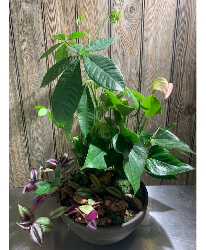 Desirable Mixed Planter