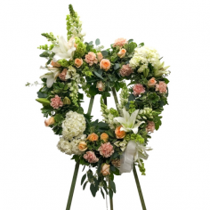Category Image