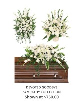 Devoted Goodbye 