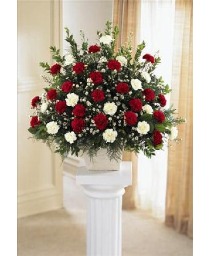 Devotion S27-3809 Arrangement