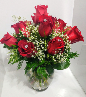 Diamonds and Pearls Rose Arrangement in Barre, VT | Forget Me Not Flowers and Gifts LLC Diamonds and Pearls Rose Arrangement in Barre, VT | Forget Me Not Flowers and Gifts LLC