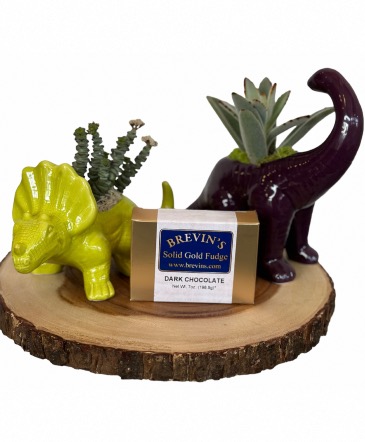 Dino Planter Plant in Astoria, OR | BLOOMIN CRAZY FLORAL
