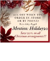 Discount Code HOLIDAY20