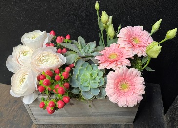 Floral and Succulent Garden Wooden Box Arrangement in Northport, NY | Hengstenberg's Florist Floral and Succulent Garden Wooden Box Arrangement in Northport, NY | Hengstenberg's Florist