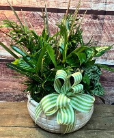 Dish Garden 10" 