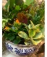Ceramic Dish Garden Flowering Houseplants