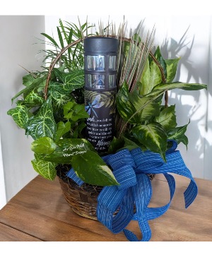 Dish Garden Basket with Solar Light Plant
