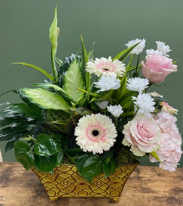 Dish Garden Fresh Flower Add on  in Southbury, CT | SOUTHBURY COUNTRY FLORIST