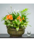 Purchase this funeral home arrangement