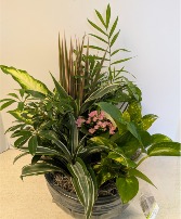 Ceramic Dish Garden   NFS-DG85     C1
