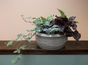 DISH GARDEN IN CERAMIC POT in Springfield, VT | WOODBURY FLORIST DISH GARDEN IN CERAMIC POT in Springfield, VT | WOODBURY FLORIST
