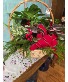 Dish Garden Indoor Plants 202502 Holiday Centerpiece