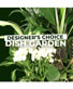 Dish Garden Selection Designer's Choice