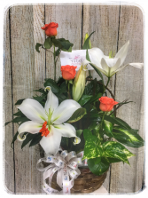 Dish Garden w/ Fresh Cut Flowers Plant