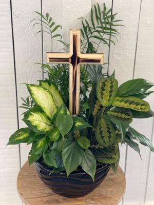 DISH GARDEN WITH 12" CROSS PLANT