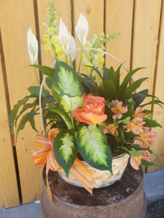 Dish Garden with fresh cuts