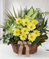 Dish Garden with fresh flowers Dish Garden with fresh flowers