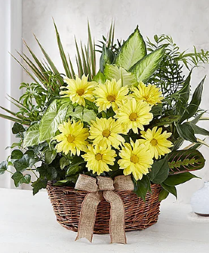 Dish Garden with fresh flowers Dish Garden with fresh flowers