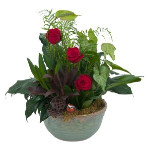 DISH GARDEN with fresh flowers