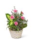 Purchase this funeral home arrangement