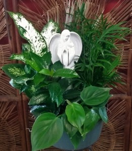Dish Garden with Porcelain Angel