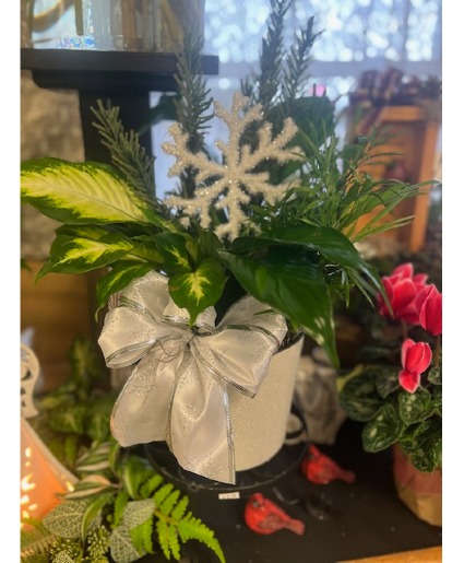 Dish Garden with Snowflake