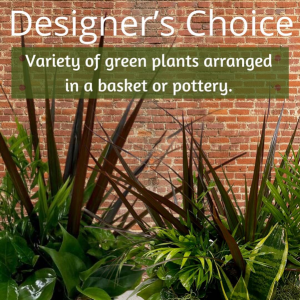 Dish Garden/Planter in Warsaw, IN | Maple Avenue Flowers Dish Garden/Planter in Warsaw, IN | Maple Avenue Flowers