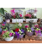 DISH GARDEN Indoor green and blooming planter