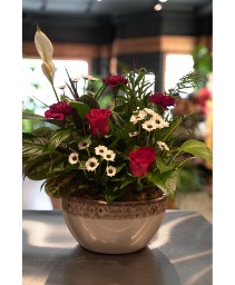 Dishgarden  With Fresh Cut Flowers