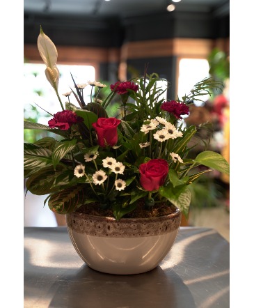 Dishgarden  With Fresh Cut Flowers in South Milwaukee, WI | PARKWAY FLORAL INC.